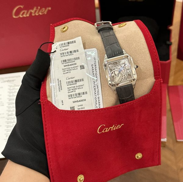 Cartier Santos de Cartier WHSA0009 Replica Watches Gray (1)