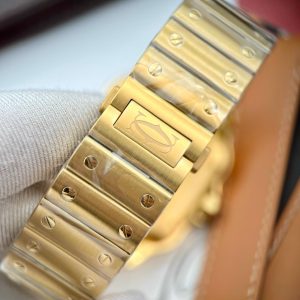 Cartier Santos De Cartier WGSA0009 Replica Watches BV Factory (1)