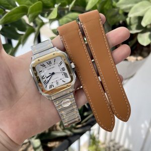 Cartier Santos W2SA0009 BV Factory Best Replica Watch 39 (1)