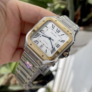 Cartier Santos W2SA0009 BV Factory Best Replica Watch 39 (1)