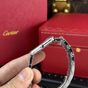 Cartier Tank Solo Replica Watches Metal Wire AF Factory 22.5×33 (1)