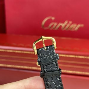 Cartier Tank Solo Yellow Gold Best Replica Watch Quartz Movement (1)