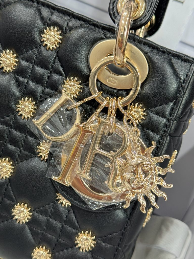 Dior Lady Beaded With Sun Motifs Womens Replica Bags 20cm (2)