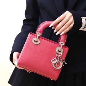 Dior Lady Lizard Best Replica Bags Women Pink 17cm (2)