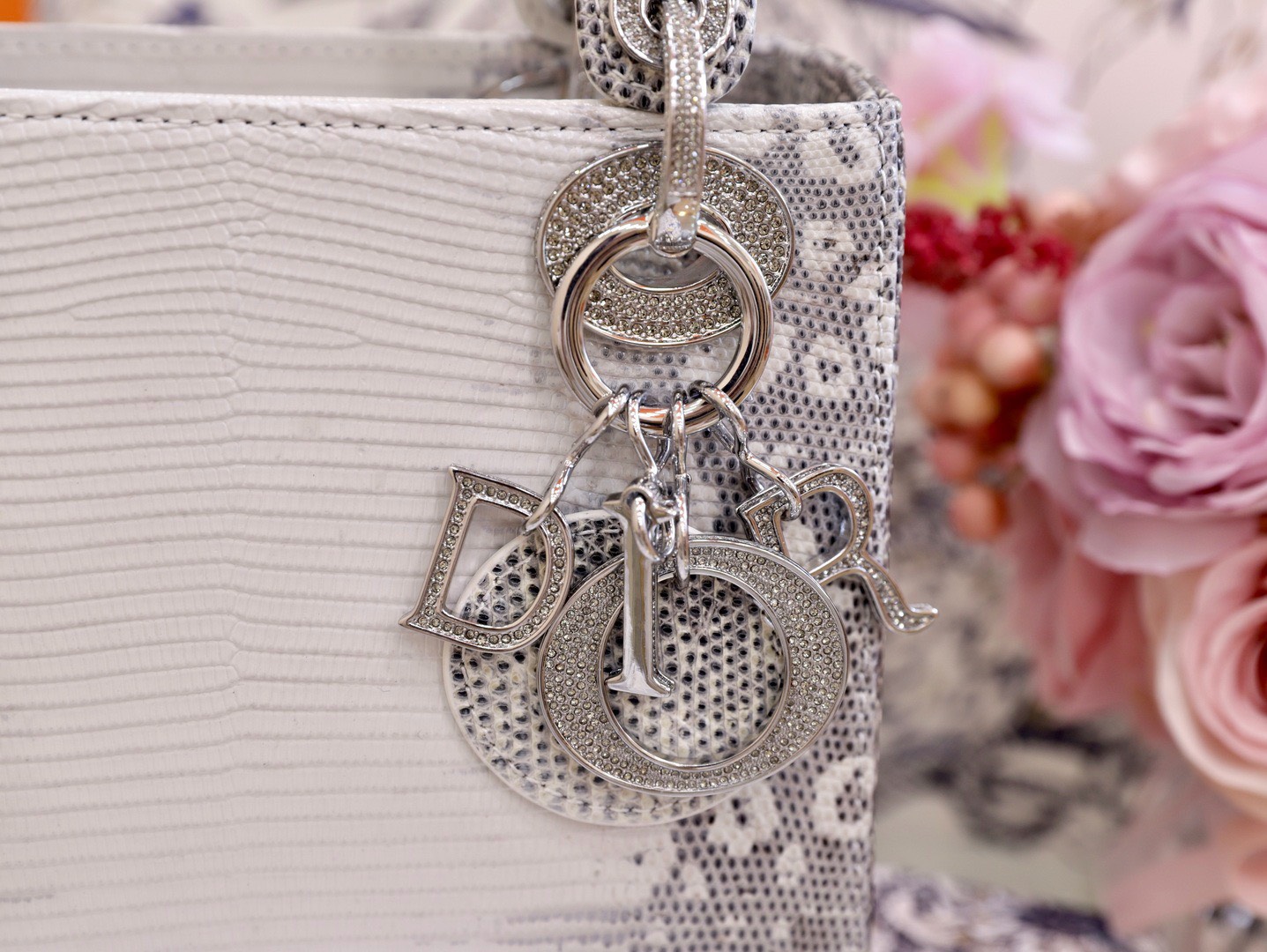 Dior Lady Lizard Womens Best Replica Bags 17cm (4) Dior Lady Lizard Womens Best Replica Bags 17cm (2)