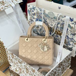 Dior Lady Womens Best Replica Bags Beige Colored 24cm (2)