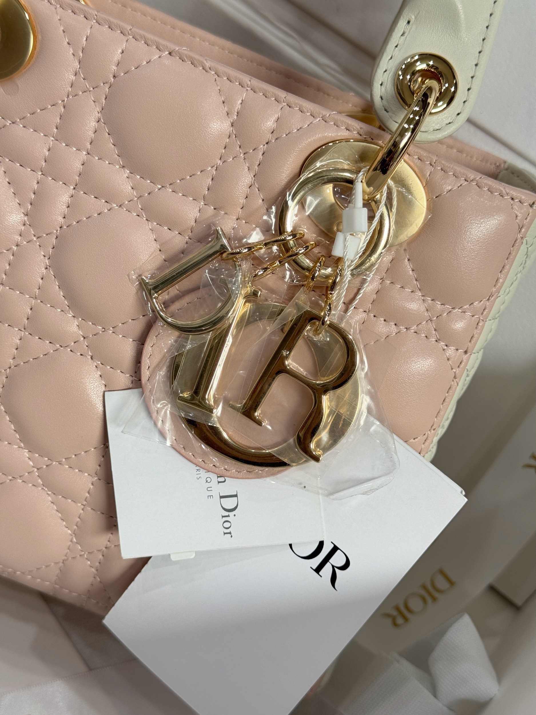Dior Lady Womens Light Pink Best Replica Bags 20cm (3) Dior Lady Womens Light Pink Best Replica Bags 20cm (2)