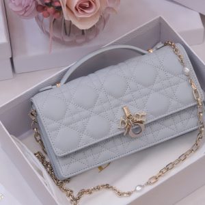 Dior Woc Womens Gray Replica Bags Lock Gold 21x11.5x4 (2)